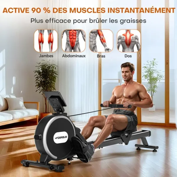 Rameur DMASUN : muscles